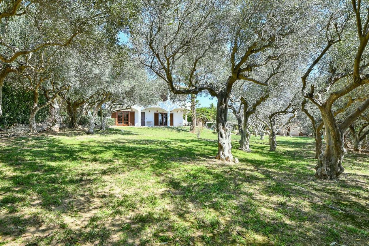 Light-Filled Home With Garden Near Beach 阿纳维索斯 外观 照片