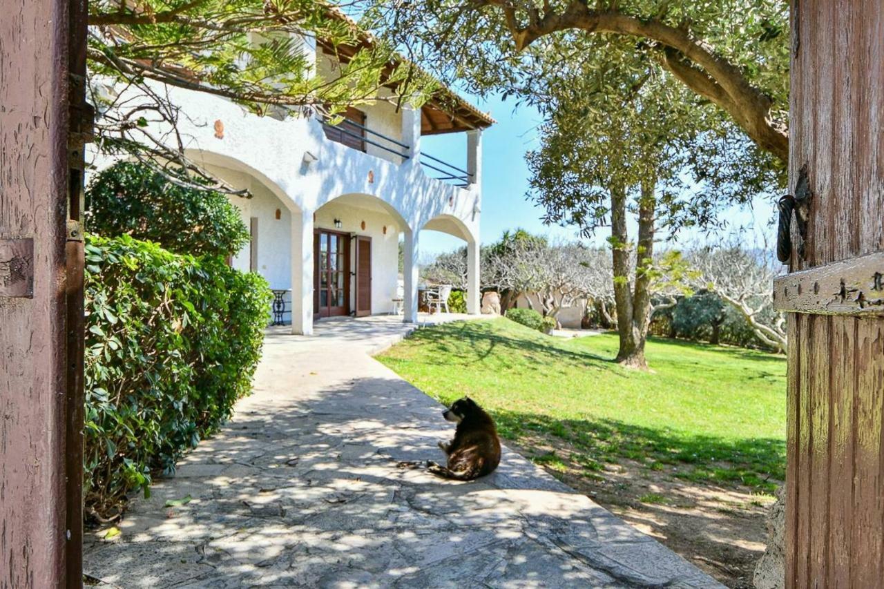 Light-Filled Home With Garden Near Beach 阿纳维索斯 外观 照片